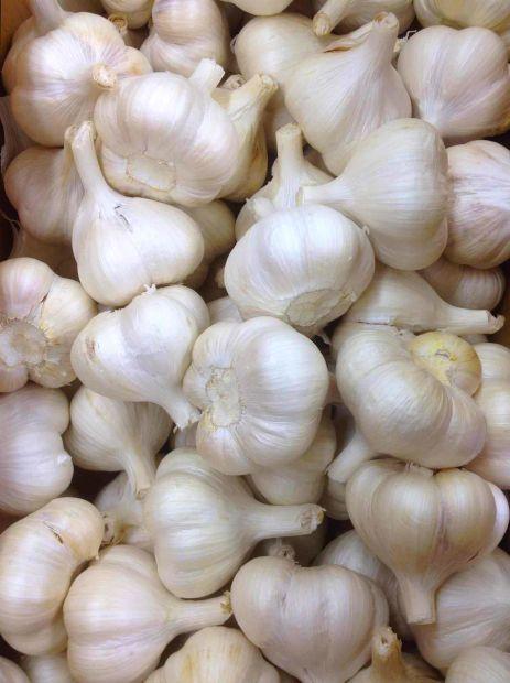 Cover Image for How to Keep Garlic Fresh for Longer