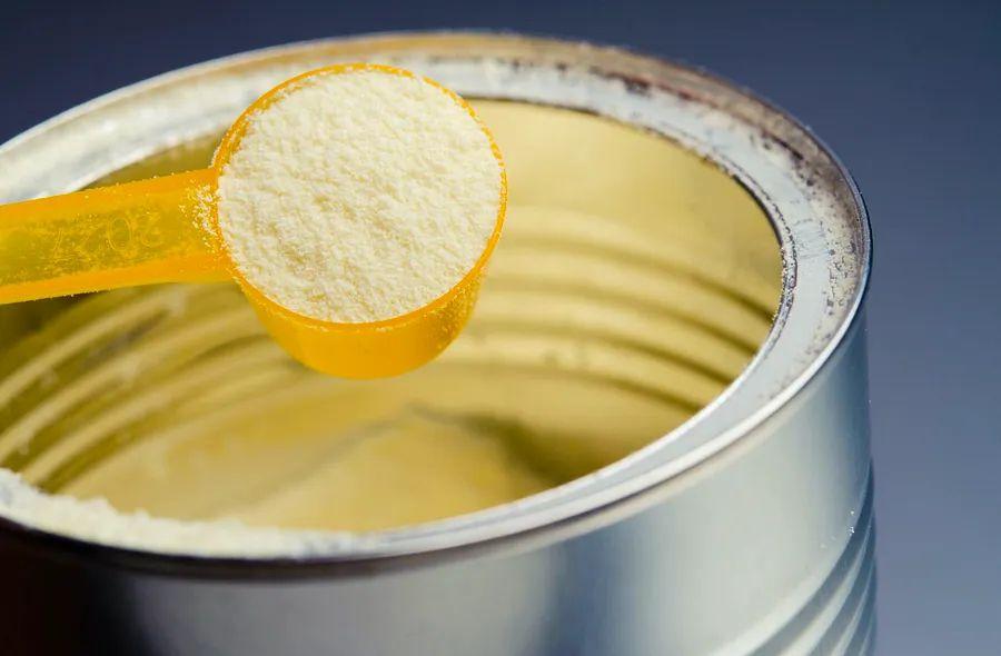 Cover Image for What Is Powdered Milk?