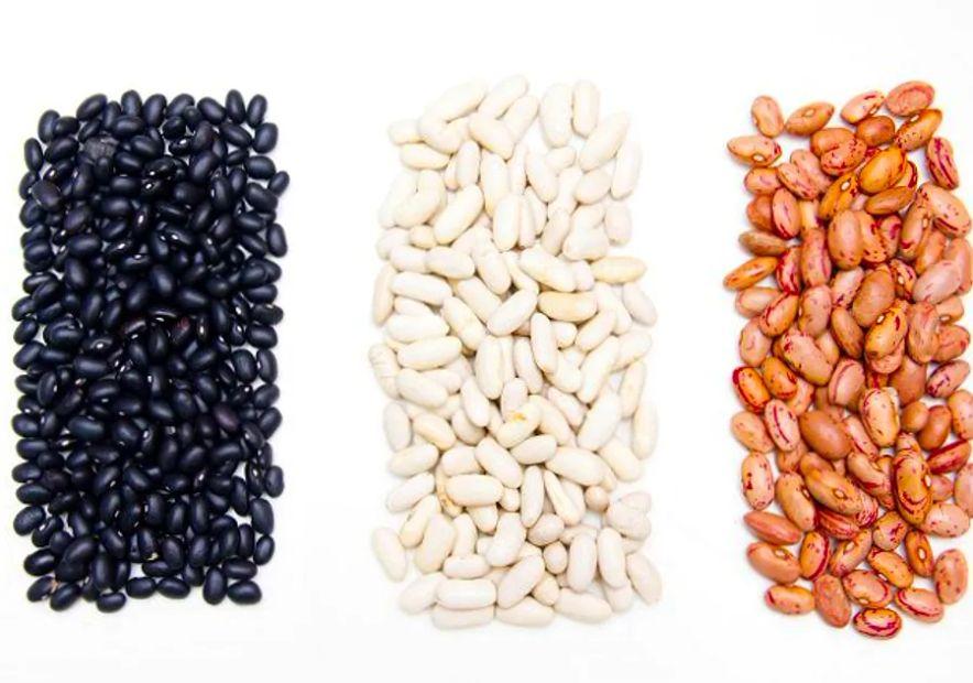 Cover Image for 15 Different Types of Beans and How to Cook Them
